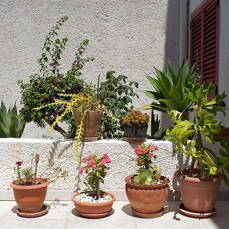 Apartamento Giotto *
